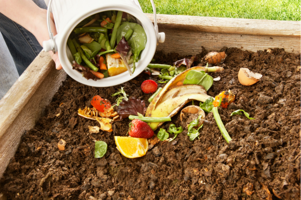 Compostagem Doméstica em Condomínios: Transformando Resíduos em Fertilizante