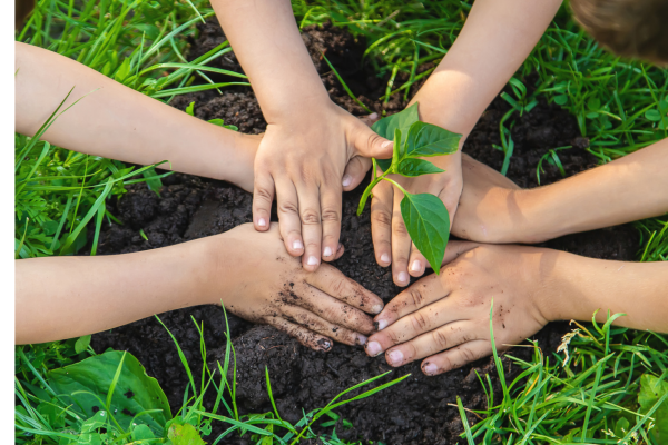 Educação Ambiental para Crianças: Transformando Condomínios com Projetos Sustentáveis